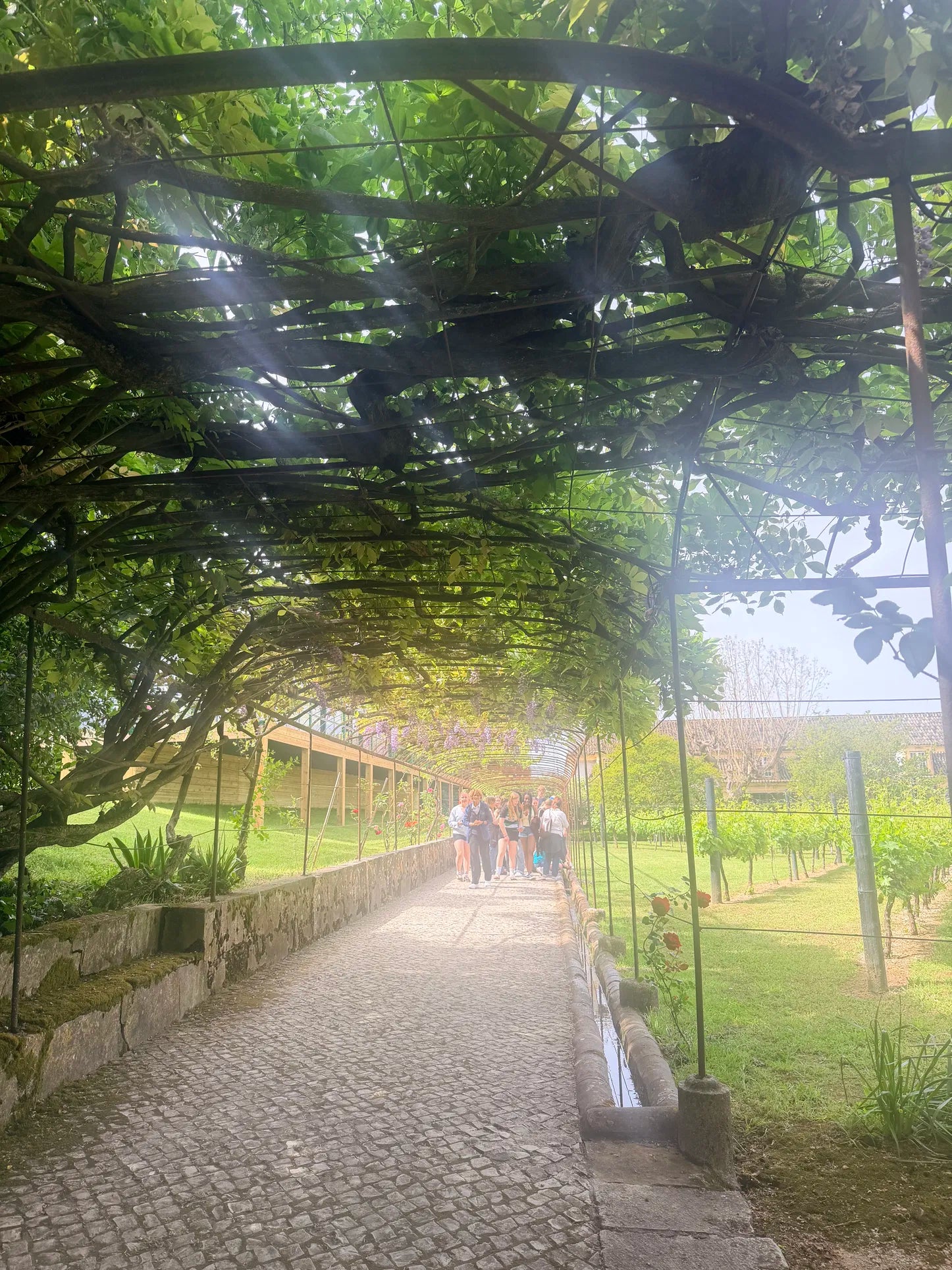 Bespoke Winery Visit